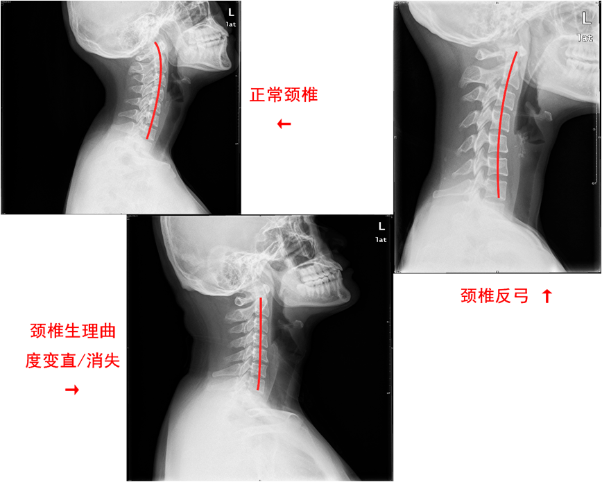 640 (1).png